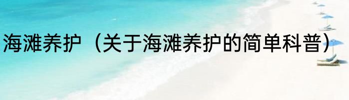 海滩养护（关于海滩养护的简单科普）