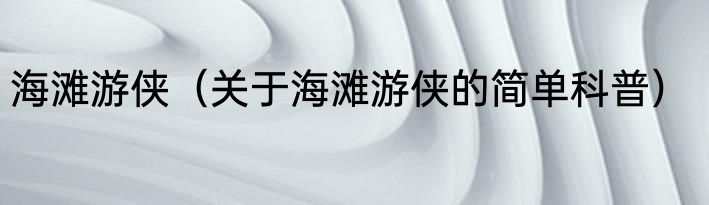 海滩游侠（关于海滩游侠的简单科普）
