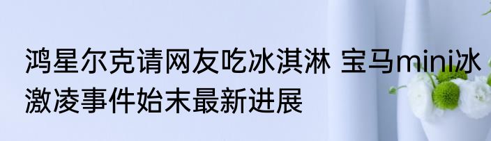 鸿星尔克请网友吃冰淇淋 宝马mini冰激凌事件始末最新进展