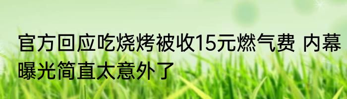 官方回应吃烧烤被收15元燃气费 内幕曝光简直太意外了