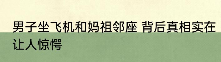 男子坐飞机和妈祖邻座 背后真相实在让人惊愕