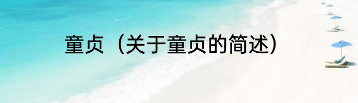 童贞（关于童贞的简述）