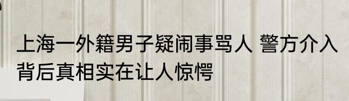 上海一外籍男子疑闹事骂人 警方介入 背后真相实在让人惊愕
