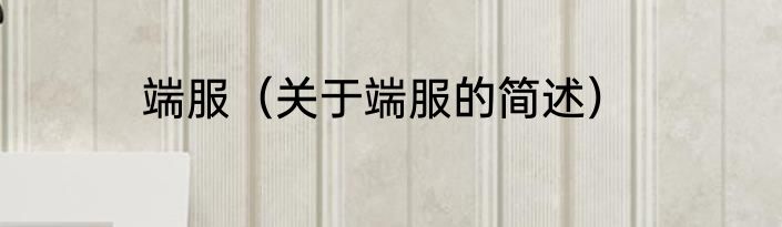 端服（关于端服的简述）