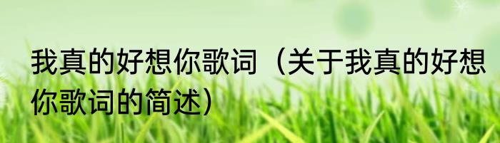 我真的好想你歌词（关于我真的好想你歌词的简述）