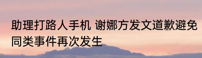 助理打路人手机 谢娜方发文道歉避免同类事件再次发生