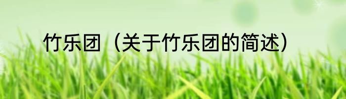 竹乐团（关于竹乐团的简述）