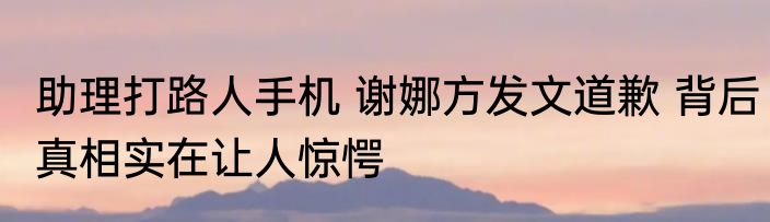 助理打路人手机 谢娜方发文道歉 背后真相实在让人惊愕