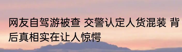 网友自驾游被查 交警认定人货混装 背后真相实在让人惊愕