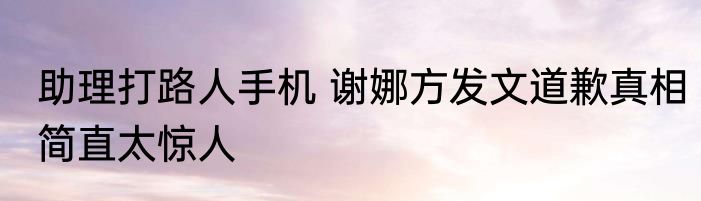 助理打路人手机 谢娜方发文道歉真相简直太惊人