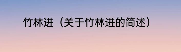 竹林进（关于竹林进的简述）