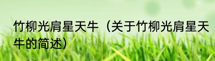 竹柳光肩星天牛（关于竹柳光肩星天牛的简述）