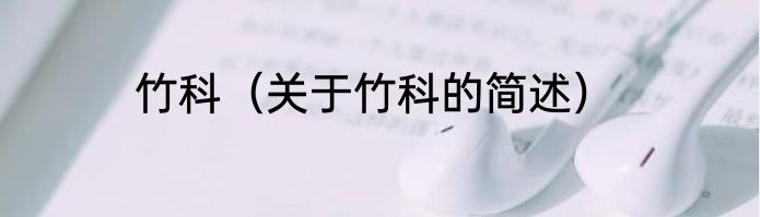 竹科（关于竹科的简述）