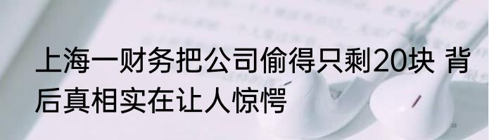 上海一财务把公司偷得只剩20块 背后真相实在让人惊愕