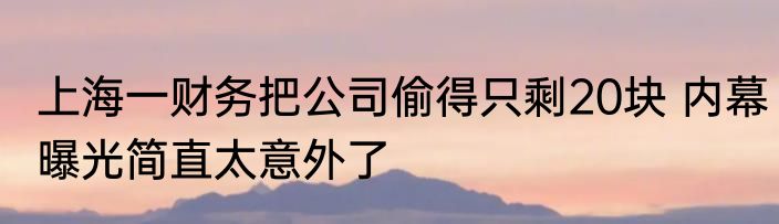 上海一财务把公司偷得只剩20块 内幕曝光简直太意外了