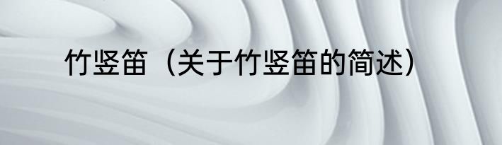 竹竖笛（关于竹竖笛的简述）