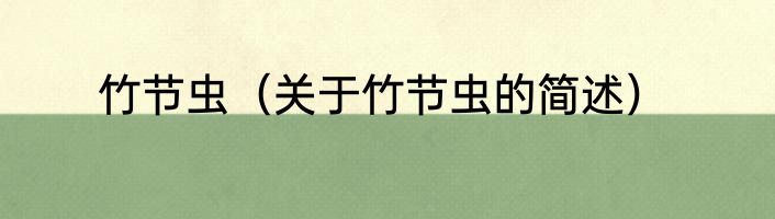 竹节虫（关于竹节虫的简述）
