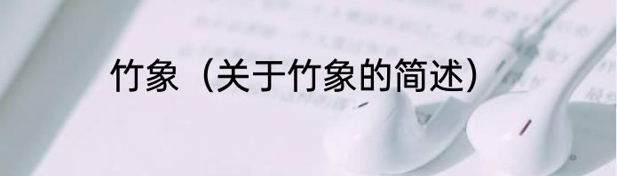 竹象（关于竹象的简述）