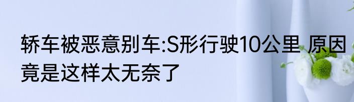 轿车被恶意别车:S形行驶10公里 原因竟是这样太无奈了