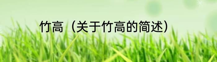 竹高（关于竹高的简述）