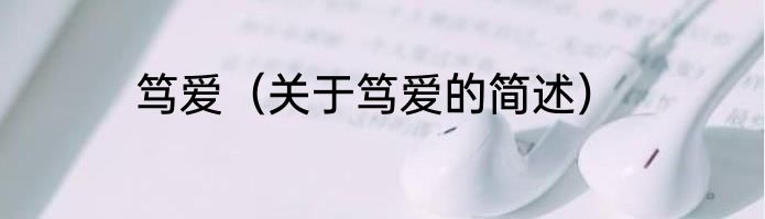 笃爱（关于笃爱的简述）