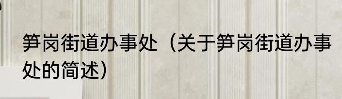 笋岗街道办事处（关于笋岗街道办事处的简述）