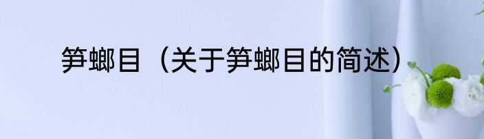 笋螂目（关于笋螂目的简述）