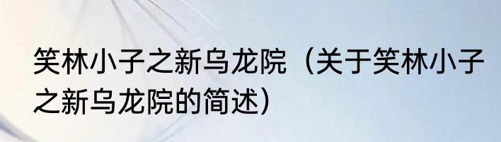 笑林小子之新乌龙院（关于笑林小子之新乌龙院的简述）