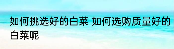 如何挑选好的白菜 如何选购质量好的白菜呢