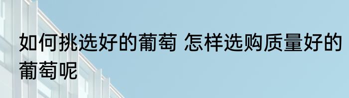 如何挑选好的葡萄 怎样选购质量好的葡萄呢