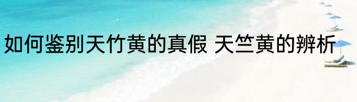 如何鉴别天竹黄的真假 天竺黄的辨析