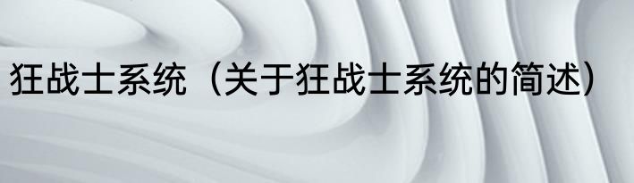 狂战士系统（关于狂战士系统的简述）