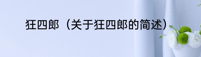 狂四郎（关于狂四郎的简述）