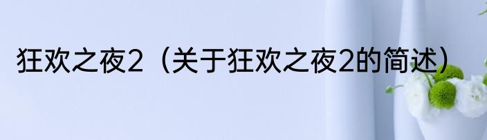狂欢之夜2（关于狂欢之夜2的简述）
