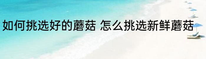 如何挑选好的蘑菇 怎么挑选新鲜蘑菇