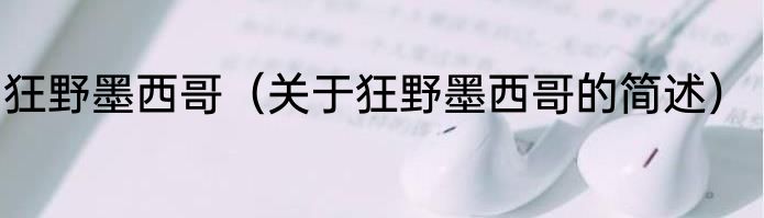 狂野墨西哥（关于狂野墨西哥的简述）