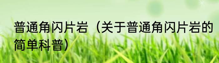 普通角闪片岩（关于普通角闪片岩的简单科普）