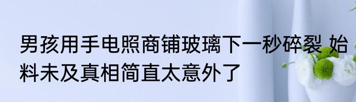 男孩用手电照商铺玻璃下一秒碎裂 始料未及真相简直太意外了