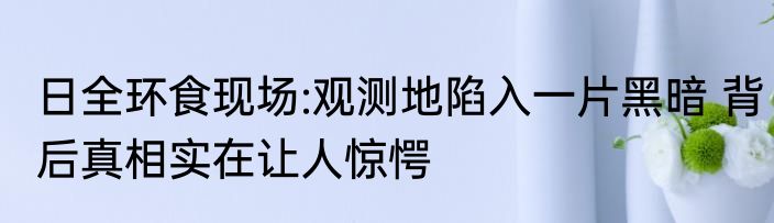 日全环食现场:观测地陷入一片黑暗 背后真相实在让人惊愕
