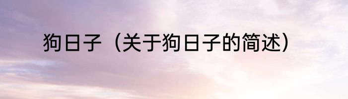 狗日子（关于狗日子的简述）