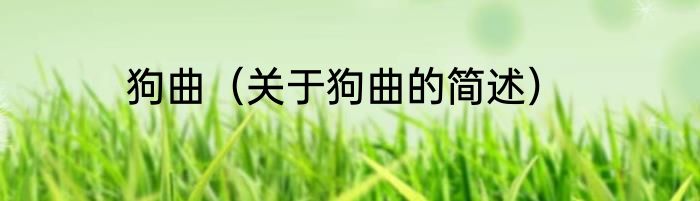 狗曲（关于狗曲的简述）