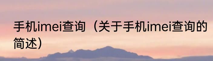 手机imei查询（关于手机imei查询的简述）