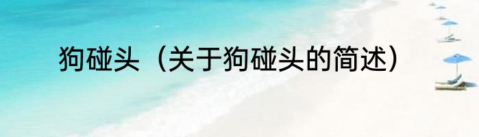 狗碰头（关于狗碰头的简述）