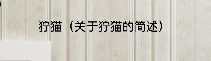 狞猫（关于狞猫的简述）