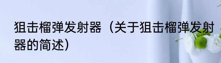 狙击榴弹发射器（关于狙击榴弹发射器的简述）