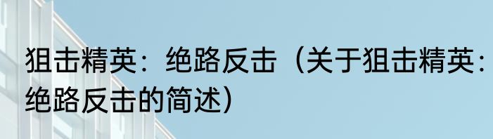 狙击精英：绝路反击（关于狙击精英：绝路反击的简述）