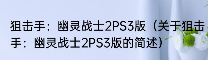 狙击手：幽灵战士2PS3版（关于狙击手：幽灵战士2PS3版的简述）