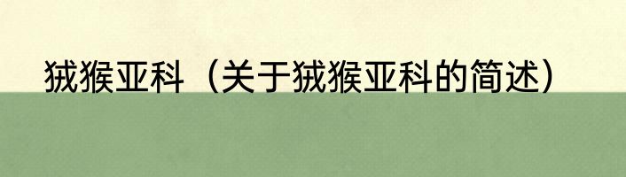 狨猴亚科（关于狨猴亚科的简述）
