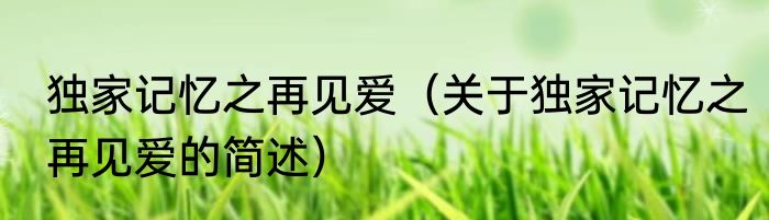 独家记忆之再见爱（关于独家记忆之再见爱的简述）