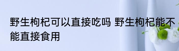 野生枸杞可以直接吃吗 野生枸杞能不能直接食用